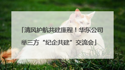 清风护航共建廉程！华东公司举三方“纪企共建”交流会