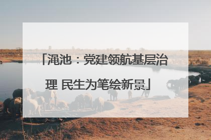 渑池：党建领航基层治理 民生为笔绘新景
