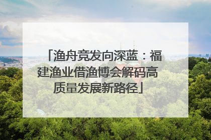渔舟竞发向深蓝：福建渔业借渔博会解码高质量发展新路径