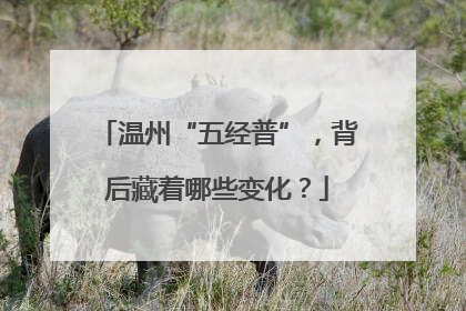温州“五经普”，背后藏着哪些变化？