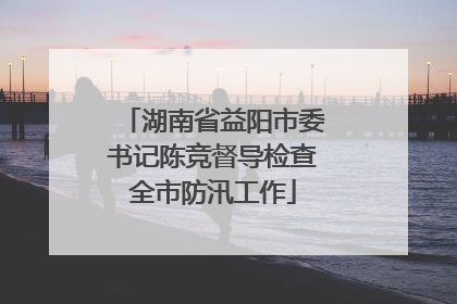 湖南省益阳市委书记陈竞督导检查全市防汛工作