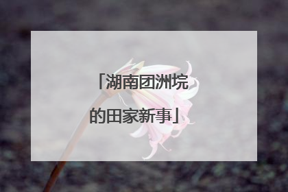 湖南团洲垸的田家新事