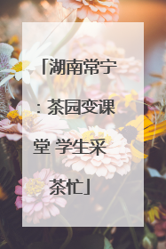 湖南常宁：茶园变课堂 学生采茶忙