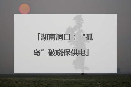 湖南洞口：“孤岛”破晓保供电