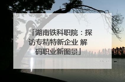 湖南铁科职院：探访专精特新企业 解码职业新图景