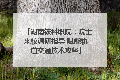 湖南铁科职院：院士来校调研指导 赋能轨道交通技术攻坚