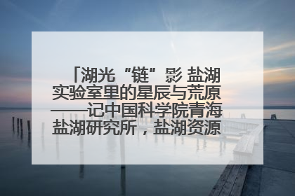 湖光“链”影 盐湖实验室里的星辰与荒原——记中国科学院青海盐湖研究所，盐湖资源化学实验室党总支书记、副主任刘忠