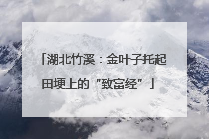 湖北竹溪：金叶子托起田埂上的“致富经”