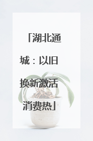 湖北通城：以旧换新激活消费热