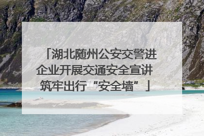 湖北随州公安交警进企业开展交通安全宣讲筑牢出行“安全墙”