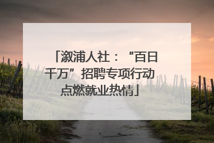 溆浦人社：“百日千万”招聘专项行动点燃就业热情