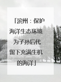 滨州：保护海洋生态环境 为子孙后代留下充满生机的海洋