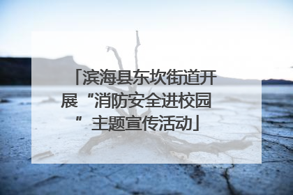 滨海县东坎街道开展“消防安全进校园”主题宣传活动