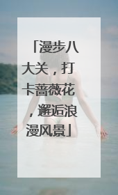 漫步八大关，打卡蔷薇花，邂逅浪漫风景
