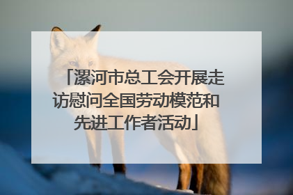 漯河市总工会开展走访慰问全国劳动模范和先进工作者活动