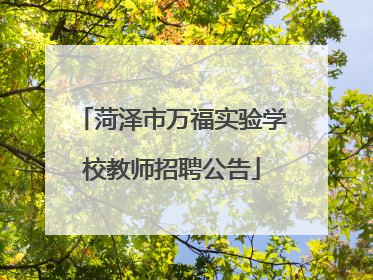 菏泽市万福实验学校教师招聘公告