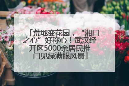 荒地变花园，“湘口之心”好称心！武汉经开区5000余居民推门见绿满眼风景