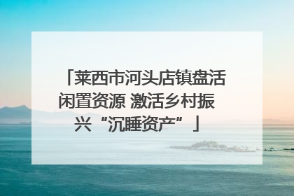 莱西市河头店镇盘活闲置资源 激活乡村振兴“沉睡资产”