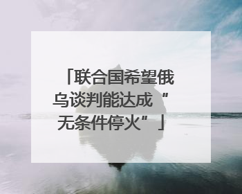 联合国希望俄乌谈判能达成“无条件停火”