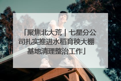 聚焦北大荒｜七星分公司扎实推进水稻育秧大棚基地清理整治工作