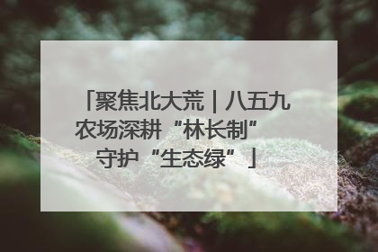 聚焦北大荒｜八五九农场深耕“林长制” 守护“生态绿”
