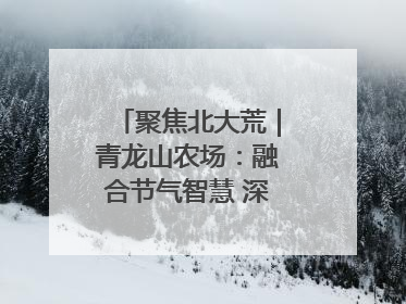 聚焦北大荒｜青龙山农场：融合节气智慧 深耕安全沃土