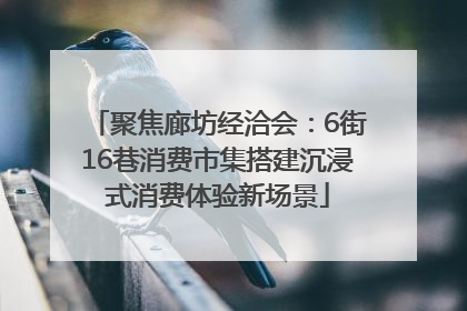 聚焦廊坊经洽会：6街16巷消费市集搭建沉浸式消费体验新场景