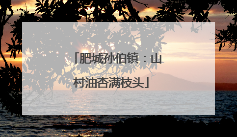 肥城孙伯镇：山村油杏满枝头