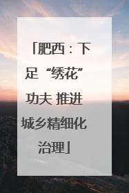 肥西：下足“绣花”功夫 推进城乡精细化治理