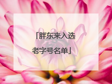 胖东来入选老字号名单