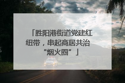 胜阳港街道党建红纽带，串起商居共治 “烟火圈”