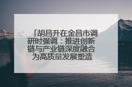 胡昌升在金昌市调研时强调：推进创新链与产业链深度融合 为高质量发展塑造新动能新优势