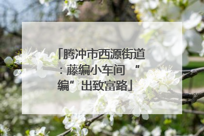 腾冲市西源街道：藤编小车间 “编”出致富路