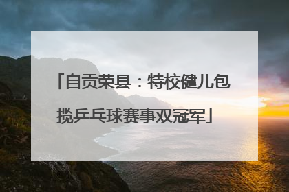 自贡荣县：特校健儿包揽乒乓球赛事双冠军
