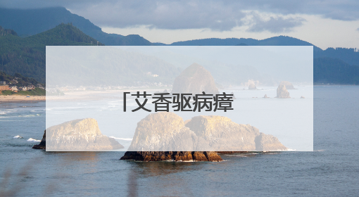 艾香驱病瘴 红豆寄安康