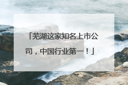 芜湖这家知名上市公司，中国行业第一！