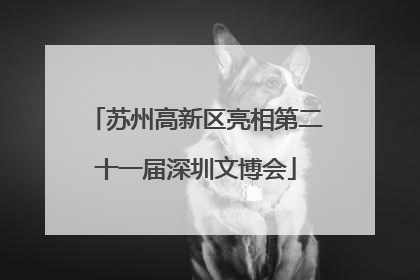 苏州高新区亮相第二十一届深圳文博会