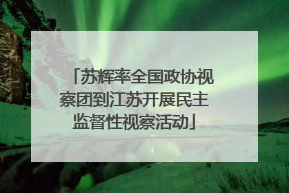 苏辉率全国政协视察团到江苏开展民主监督性视察活动