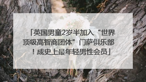 英国男童2岁半加入“世界顶级高智商团体”门萨俱乐部！成史上最年轻男性会员