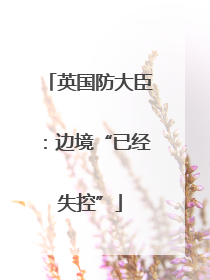 英国防大臣：边境“已经失控”