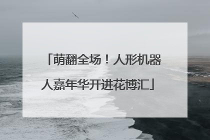 萌翻全场！人形机器人嘉年华开进花博汇