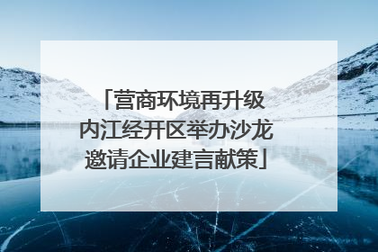 营商环境再升级 内江经开区举办沙龙邀请企业建言献策