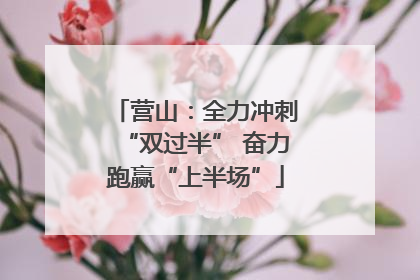 营山：全力冲刺“双过半” 奋力跑赢“上半场”