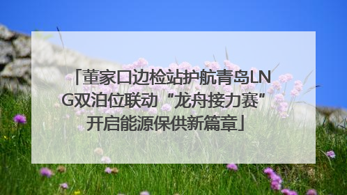 董家口边检站护航青岛LNG双泊位联动“龙舟接力赛” 开启能源保供新篇章