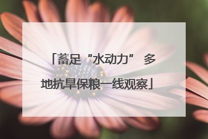 蓄足“水动力” 多地抗旱保粮一线观察