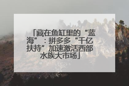 藏在鱼缸里的“蓝海”：拼多多“千亿扶持”加速激活西部水族大市场