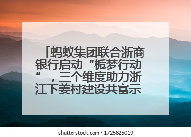 蚂蚁集团联合浙商银行启动“栀梦行动”，三个维度助力浙江下姜村建设共富示范区示范点