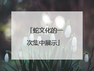 蛇文化的一次集中展示