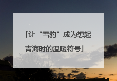 让“雪豹”成为想起青海时的温暖符号
