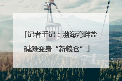 记者手记：渤海湾畔盐碱滩变身“新粮仓”
